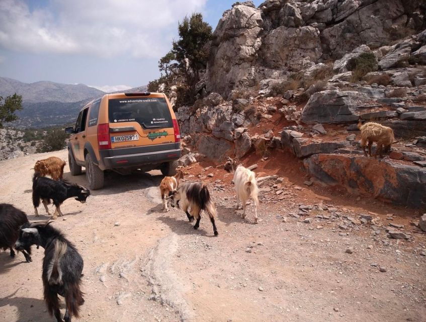 Crete: Full-Day Private Tour - Good To Know