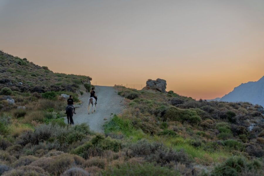 Crete Horse Riding: Mesmerizing Sunset Trip - Good To Know