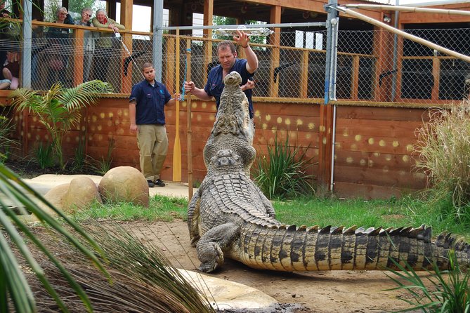 Crocodiles Park Ticket With Transfers - Good To Know