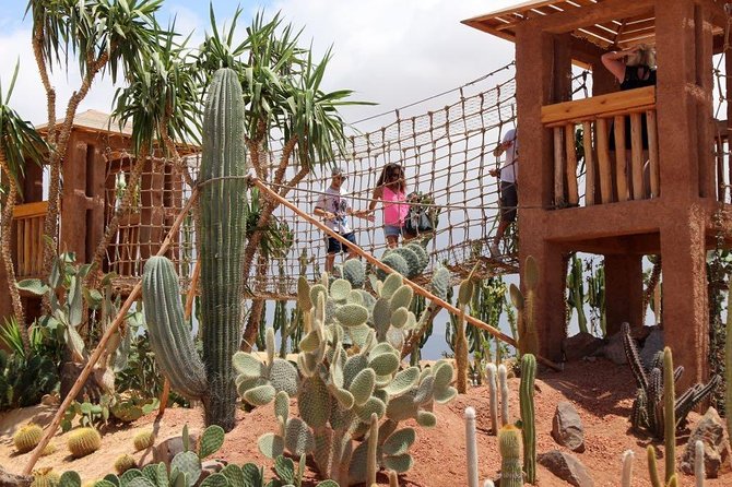 Crocopark Visit (Transport Included) - Good To Know