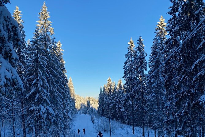 Cross-Country Skiing With Fireside “Kos” - Good To Know