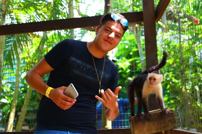 Cruise Ship Family Sloth & Monkeys, West Tour, Beach Plus Private Vehicle - Tour Duration and Logistics