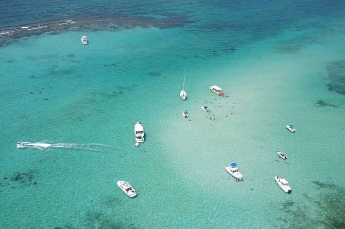 Cruise Ship Shore Tour – Stingray City, Reef Snorkel and Starfish
