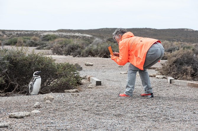 Cruise Shore Excursion Ea San Lorenzo Peninsula Valdes - Patagonia - Argentina - Good To Know