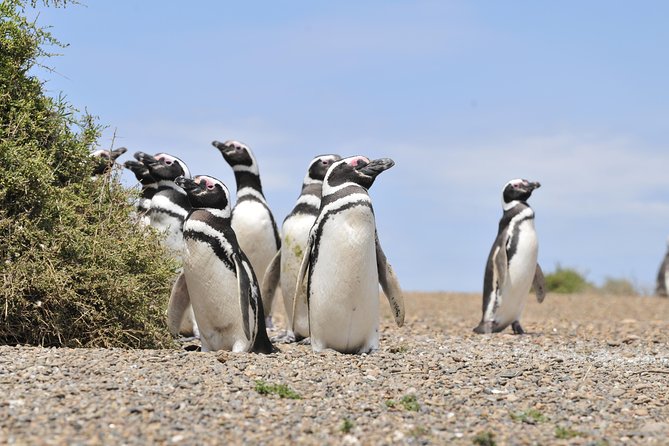 11 Best Tours In Patagonia