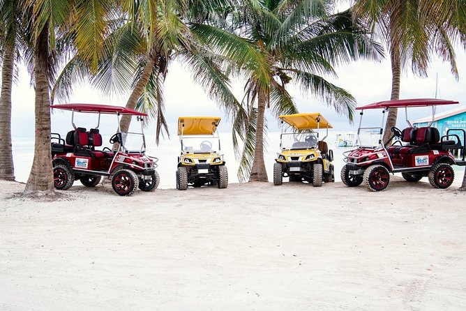 C&S (4 Seater) Golf Cart Rentals - Pricing and Booking Details