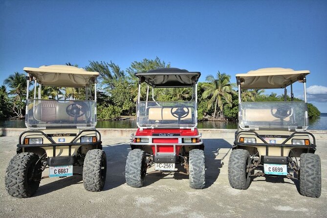 C&S 6 Seater Golf Cart Rental