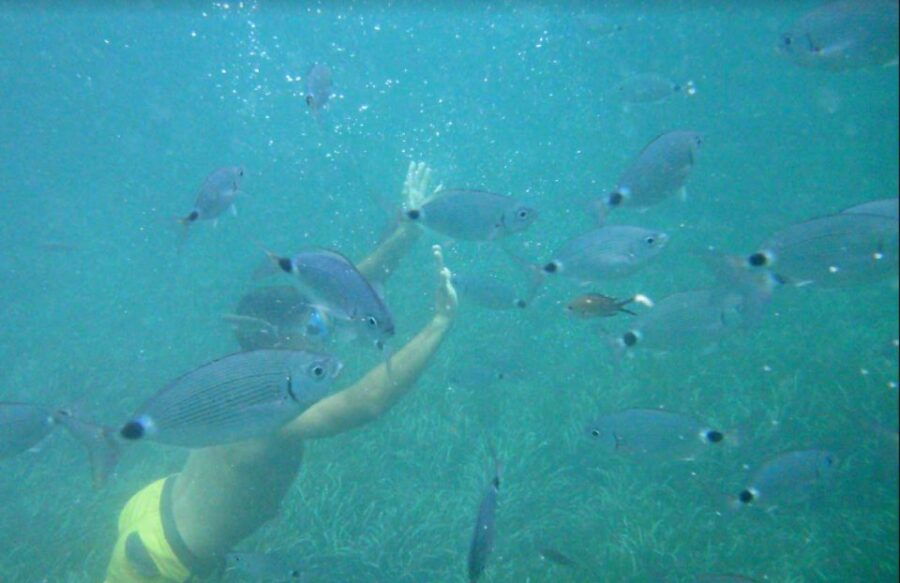 2 Best Canoe And Kayak Experiences In Cullera