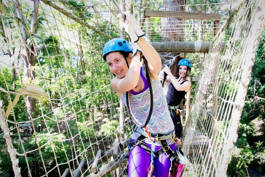 Currumbin Wildlife Sanctuary: Entry & TreeTops Challenge - Good To Know