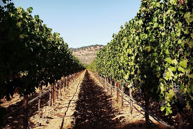 Custom 6-Hour Napa Valley Wine Tour in a Luxury Vehicle - Good To Know