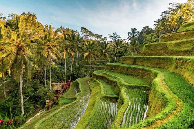 Custom Day Trip in Bali - Good To Know