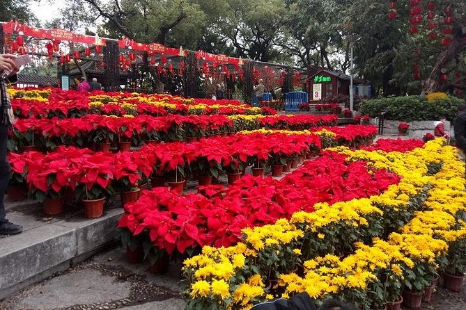 Customised Private Guangzhou Sightseeing Tour and Shopping Tour - Good To Know