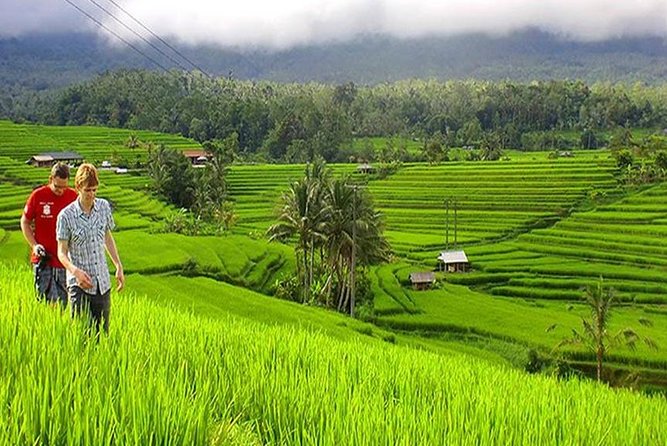 Customizable 10h Tours in a 7-Seater Toyota Innova - Good To Know