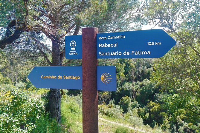 Cycling to Conimbriga Roman Ruins, Self-Guide, Full-Day From Coimbra - Good To Know