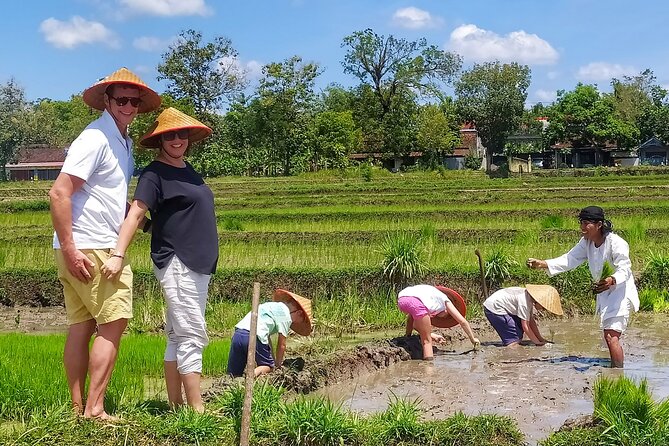 Cycling Tour in Yogyakarta With Lunch 3-Hour