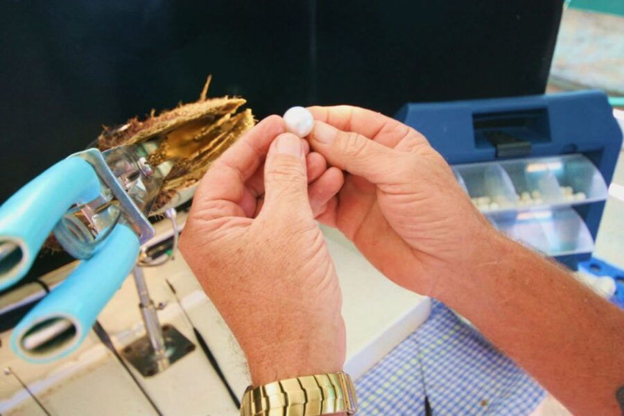 Cygnet Bay Pearl Farm Behind-the-Scenes Tour & Live Harvest - Tour Details
