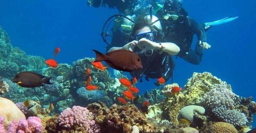 Dahab: Quad Biking, Snorkelling, Diving, and Camel Ride - Good To Know