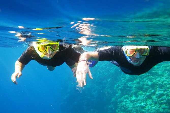 Dahab Safari From Sharm-El-Sheikh Incl. Snorkeling and Camel Riding