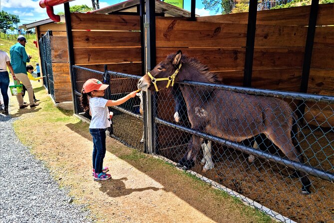 Daily Pass to Eco Park of Cerro La Cruz in Boquete