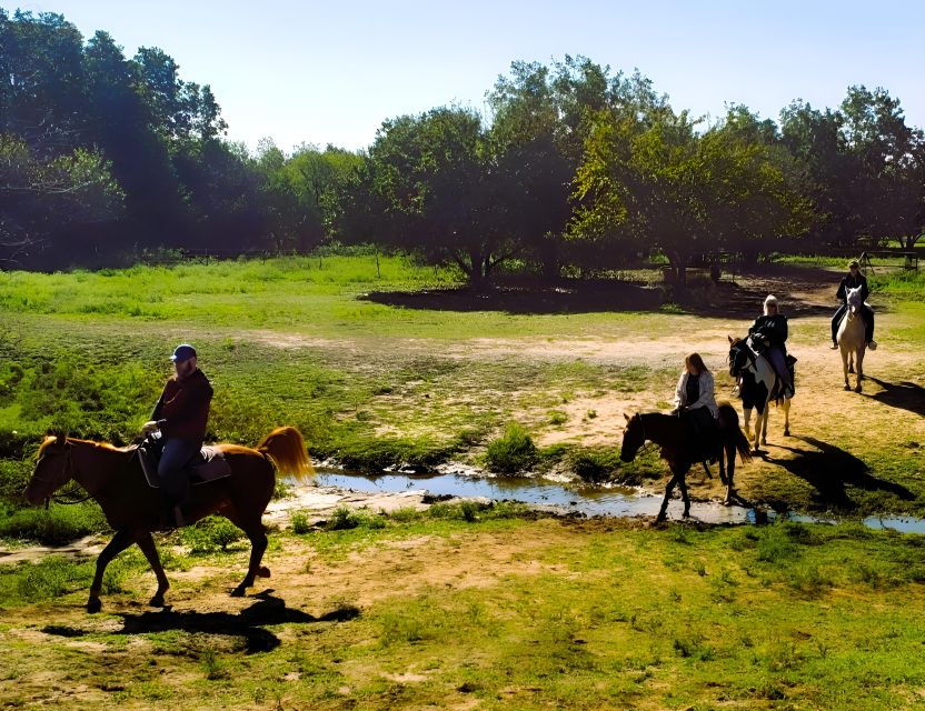 Dallas: Horseback Trail Riding Tour