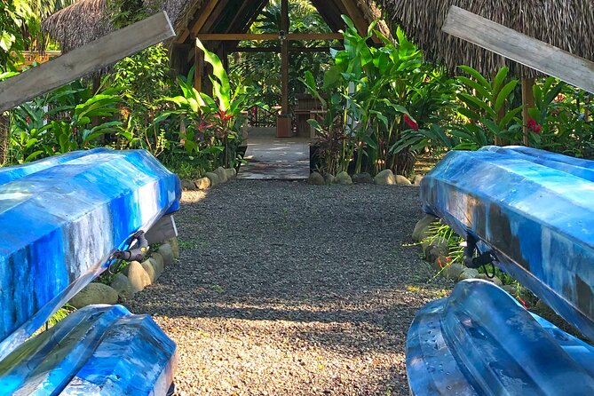 Damas Island Half-Day Kayak Tour by Nacarcosta  - Quepos - Good To Know