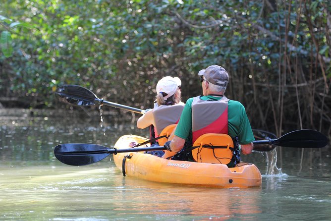 Damas Island Kayaking Mangrove Tour From Manuel Antonio