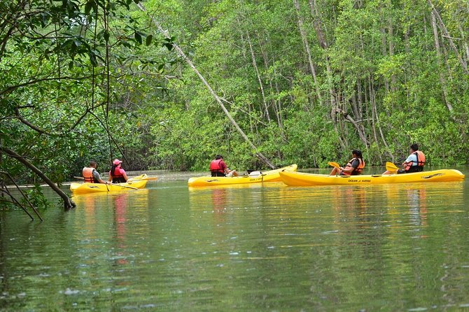 Damas Island Mangrove Kayaking Tour From Manuel Antonio