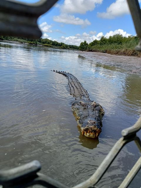 Darwin and Crocodile Tour