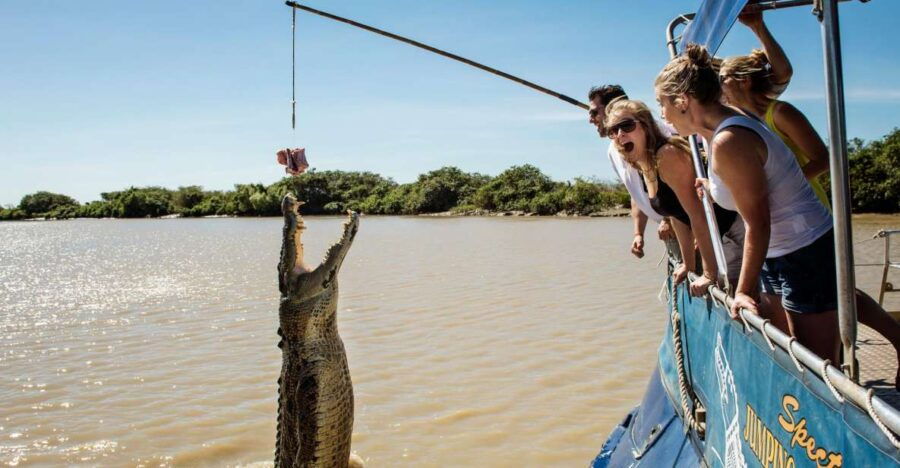 Darwin: City Sights and Jumping Crocodile Cruise - Good To Know
