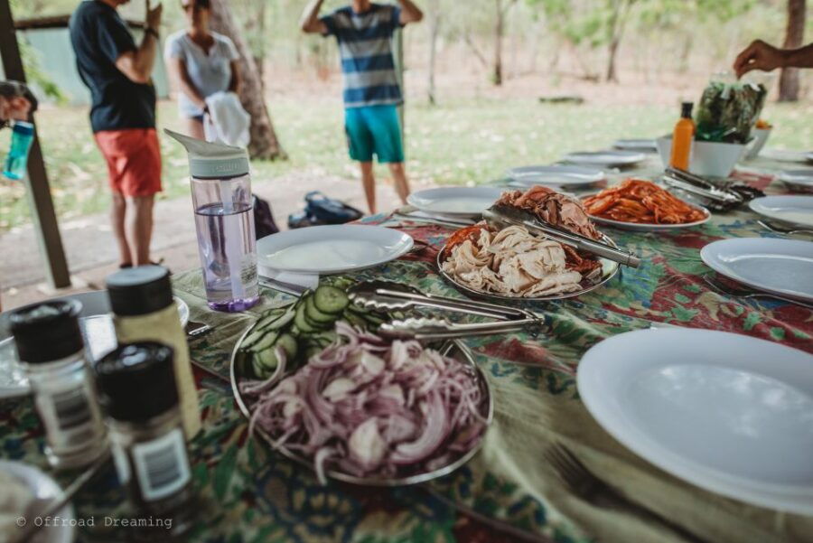 Darwin: Litchfield Day Tour and Private Crocodile Cruise - Good To Know