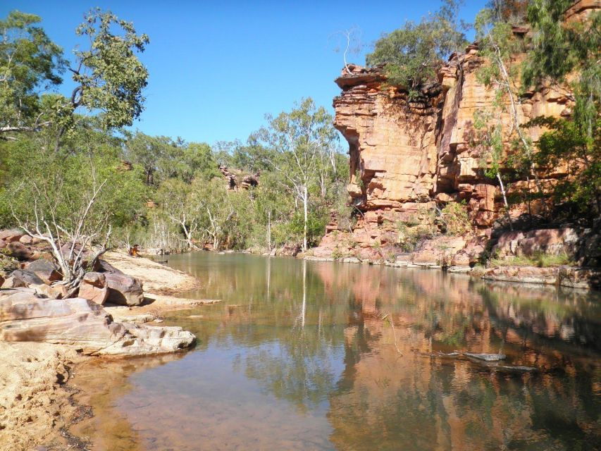 Darwin to Alice. the Explorer’s Way