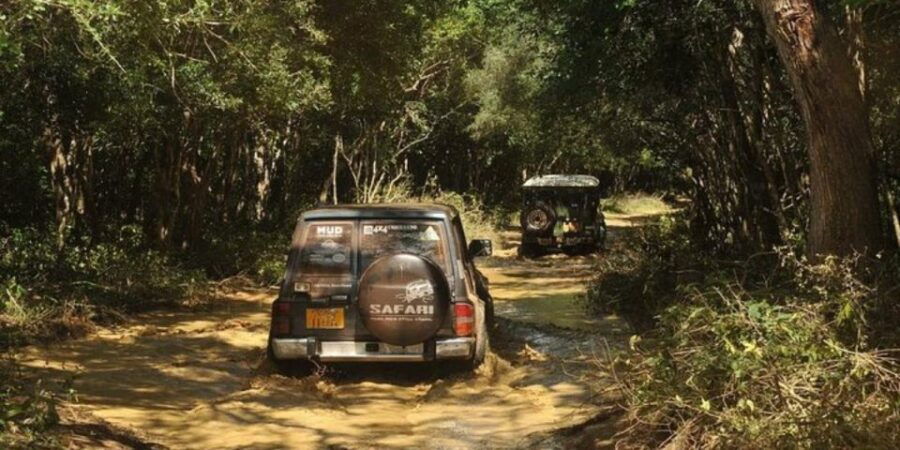 Dawn Safari Adventure in Yala National Park" - Good To Know