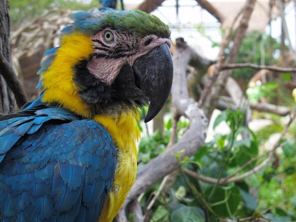 Day at the National Colombia Aviary and Afternoon at Playa Blanca - Good To Know