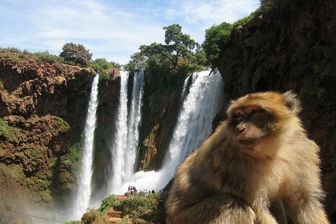 Day Excursion to Ouzoud Waterfall From Marrakech: Private - Good To Know