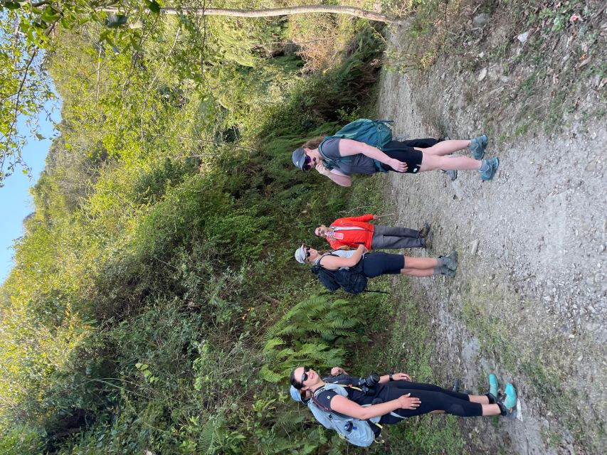 Day Hike: Surya Chaur to Kakani [11 KM]
