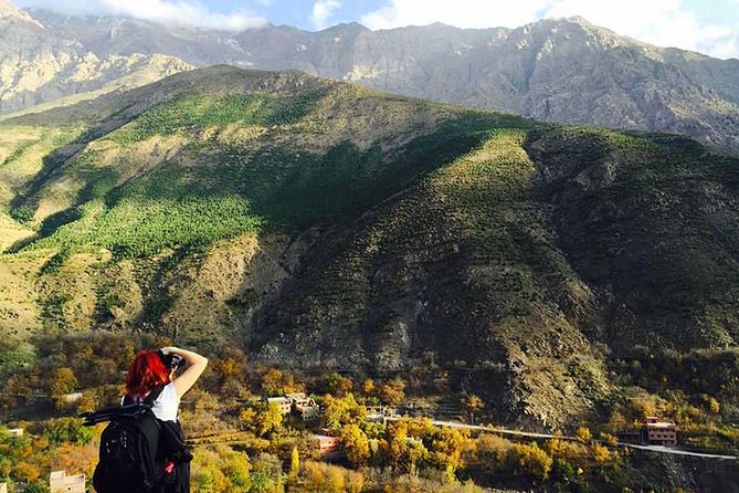 Day in the Atlas Mountains With Camel Ride - Good To Know