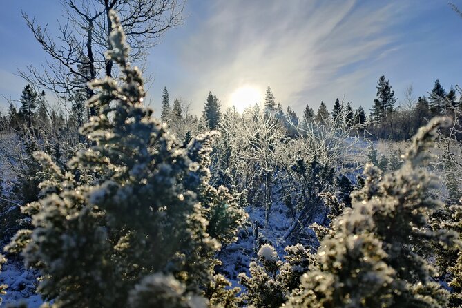 Day in the Tundra – Winter Trek & Smoke Sauna