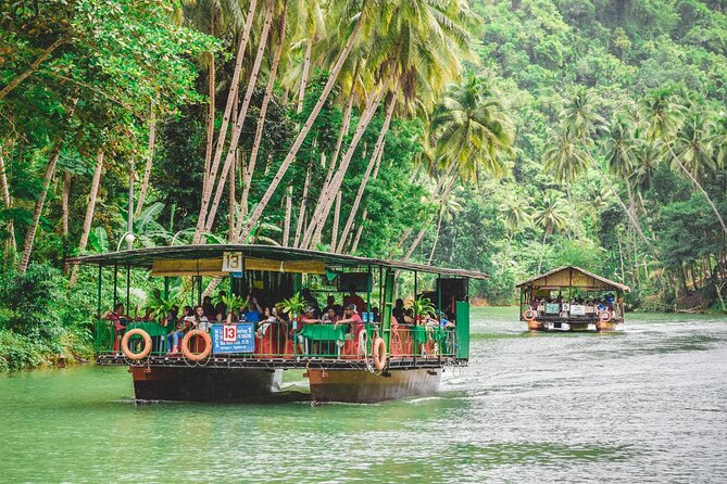 Day Swing to Bohol