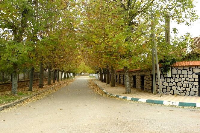 Day Tour From Fes to Middle Atlas (Imouzzer, Ifrane, and Azrou) - Good To Know