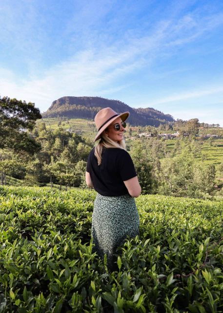 Day Tour From Kandy to Nuwara Eliya and Ramboda Waterfall