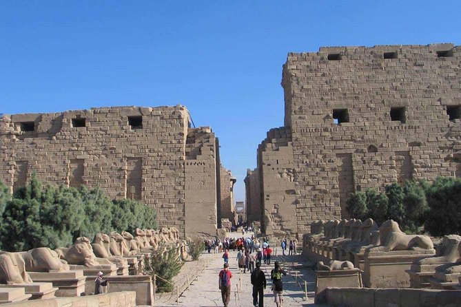Day Tour From Safaga to Luxor - Tour Highlights