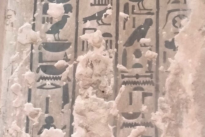 Day Tour in Edfu and Komombo Temples - Good To Know