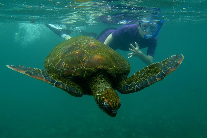 Day Tour to Pinzón Island and La Fé/Palmitas Bay With Snorkeling and Fishing