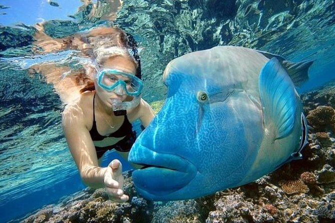 Day Tour to Snorkeling Trip to Giftun Island in Egypt