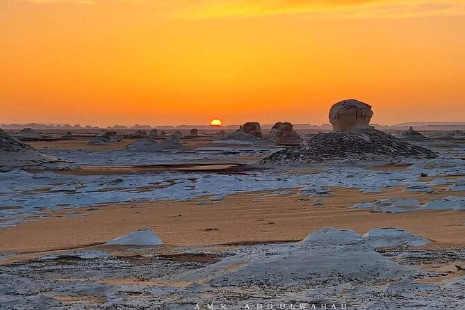 Day Tour to White Desert and Bahariya Oasis Tour - Good To Know
