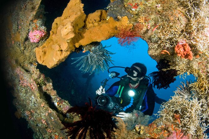 Day Trip for Certified Divers - 2 or 3 Dives in Tulamben (Pick up in South Bali) - Good To Know