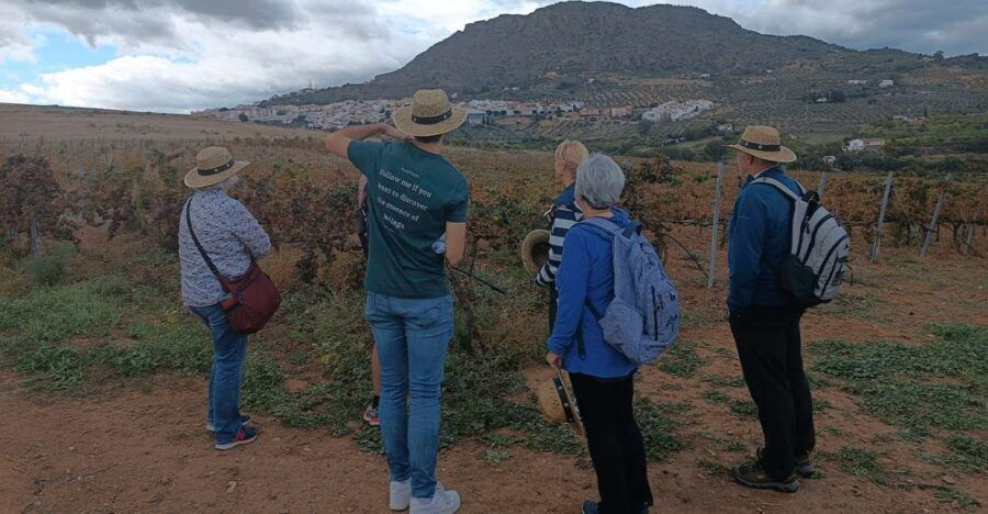 Day Trip From Malaga: Wine Tasting and Vineyard Experience - Good To Know