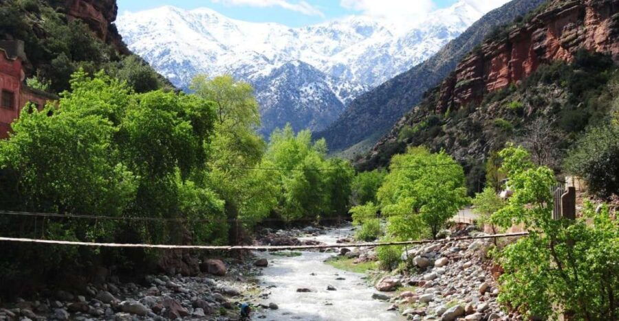 Day Trip From Marrakech Atlas Mountains and Waterfall