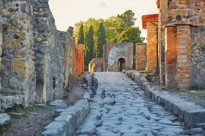Day Trip From Naples: Pompeii & Sorrento - Private Tour - Good To Know