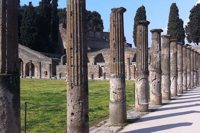Day Trip From Rome to Pompeii and Mt Vesuvios - Good To Know
